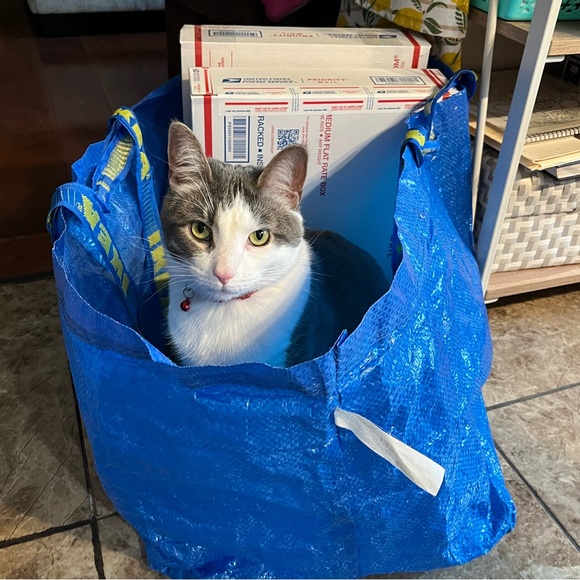 LIVE SHOW LISTING! @mary_jeannette is live!  Come hang out! - Picture 12 of 17